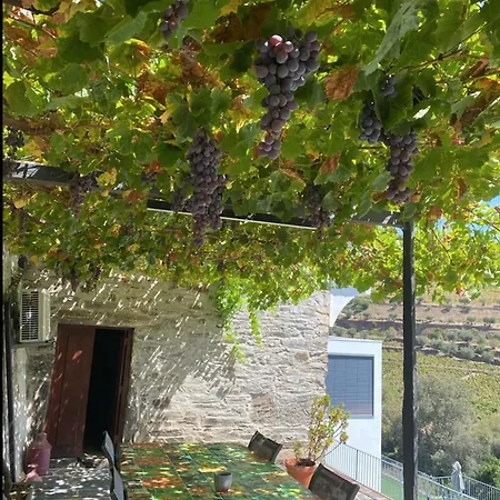 Casa Foz Do Corgo - Private Pool, Gardens&river Access Peso da Régua