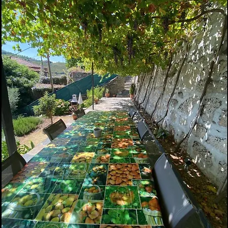 Casa Foz Do Corgo - Private Pool, Gardens And River Access