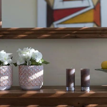 Casa Foz Do Corgo - Private Pool, Gardens&river Access