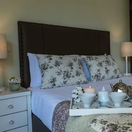 Villa Casa Foz Do Corgo - Private Pool, Gardens&river Access *