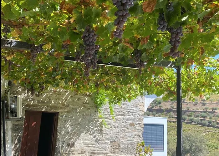 Casa Foz Do Corgo - Private Pool, Gardens And River Access 페소다레과