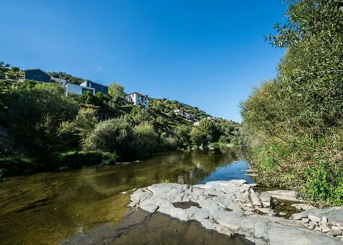 Casa Foz Do Corgo - Private Pool, Gardens And River Access Villa