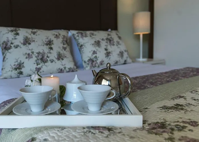 Casa Foz Do Corgo - Private Pool, Gardens And River Access