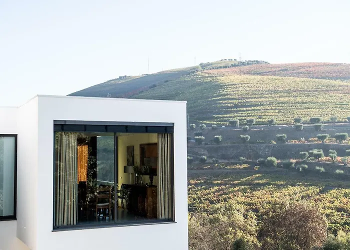 Casa Foz Do Corgo - Private Pool, Gardens And River Access 빌라 페소다레과