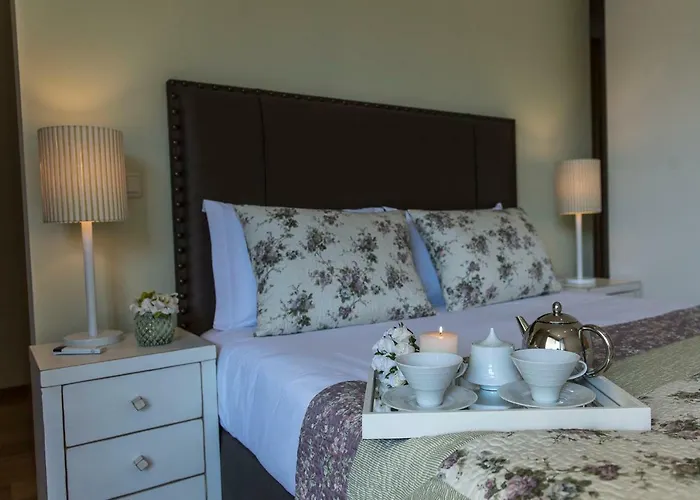 Villa Casa Foz Do Corgo - Private Pool, Gardens And River Access *